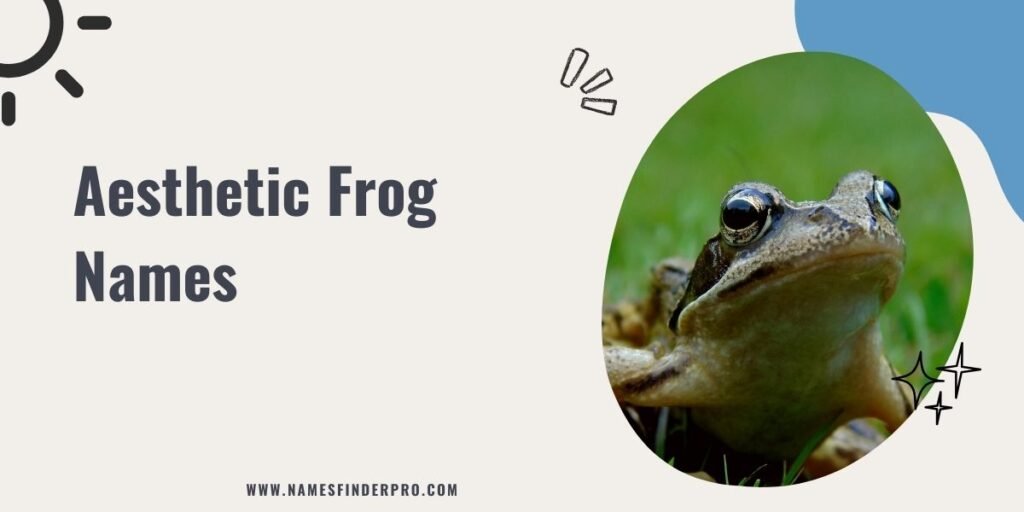 Aesthetic Frog Names