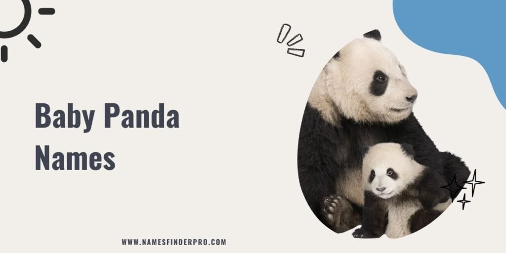 Baby Panda Names 