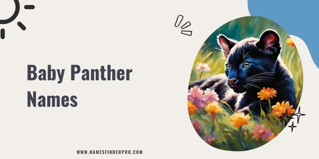 Baby Panther Names