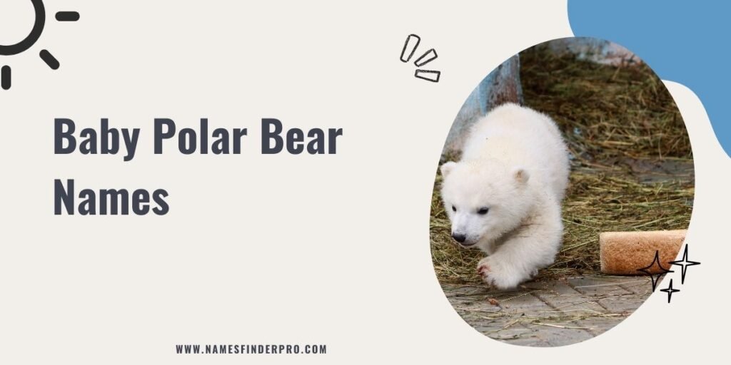 Baby Polar Bear Names