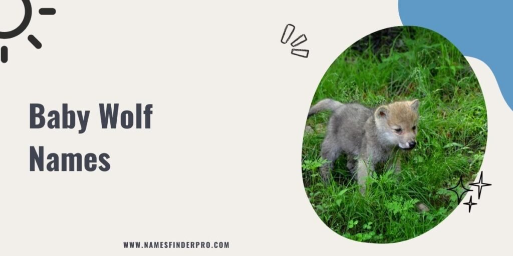 Baby Wolf Names