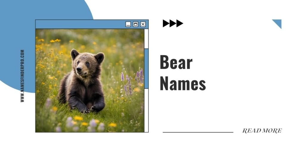 _Bear Names