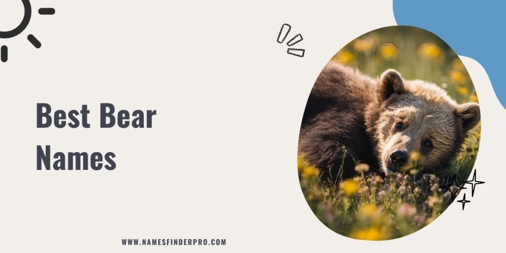 Best Bear Names