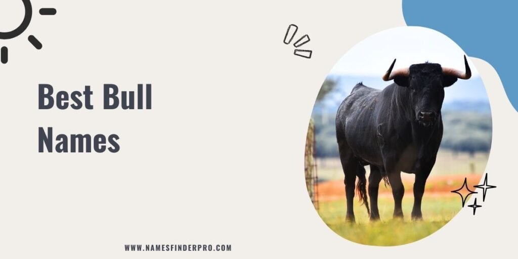 Best Bull Names 