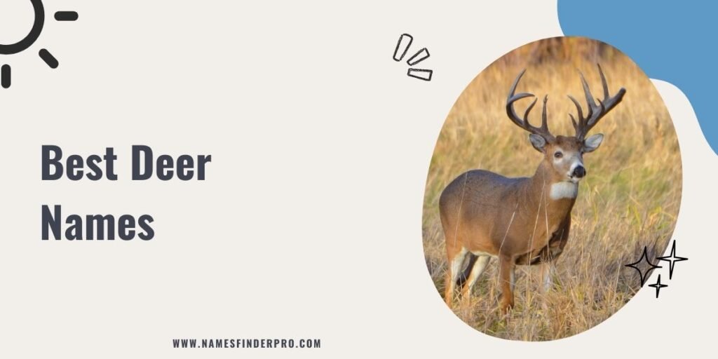 Best Deer Names 