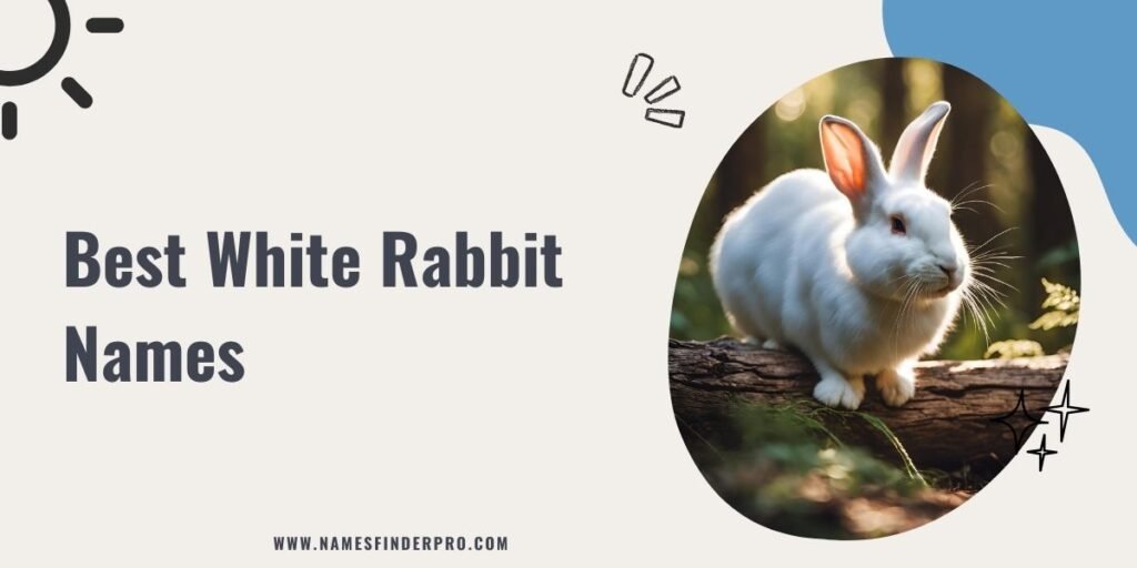 Best White Rabbit Names