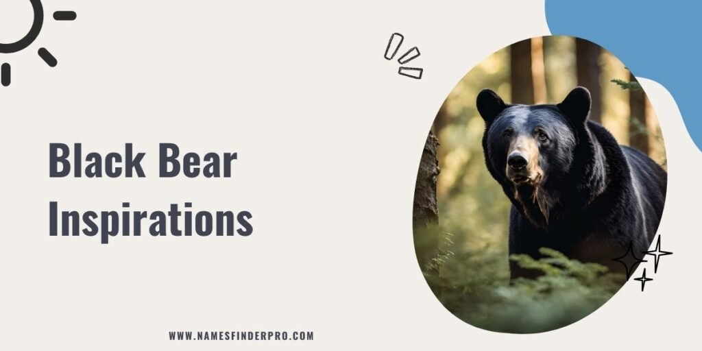 Black Bear Inspirations