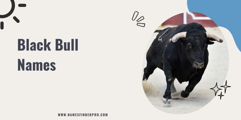 Black Bull Names