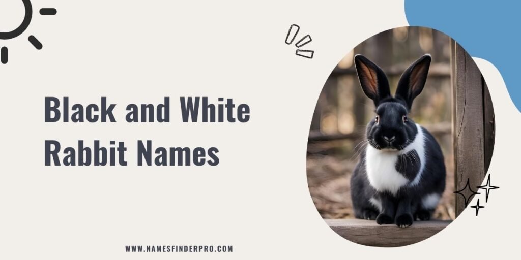 Black and White Rabbit Names