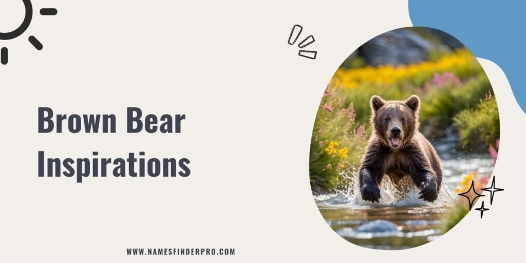 Brown Bear Inspirations