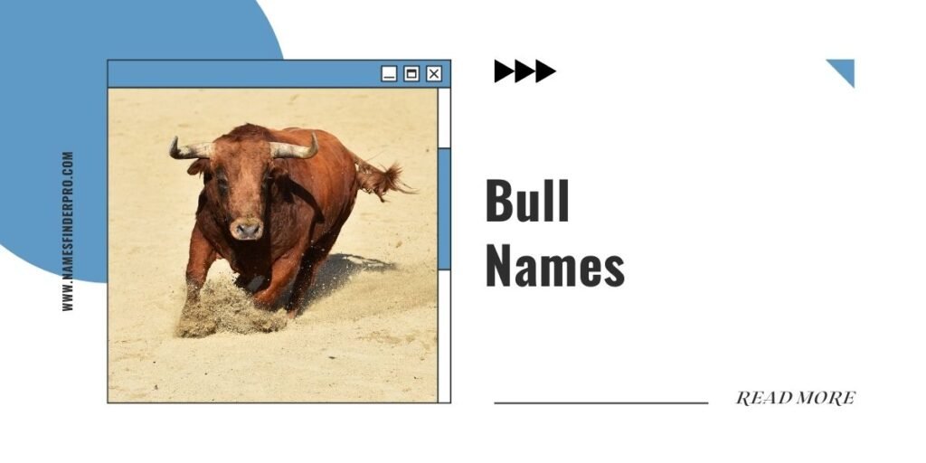 Bull Names