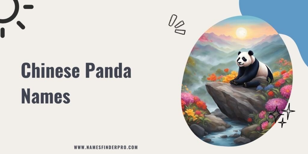 Chinese Panda Names