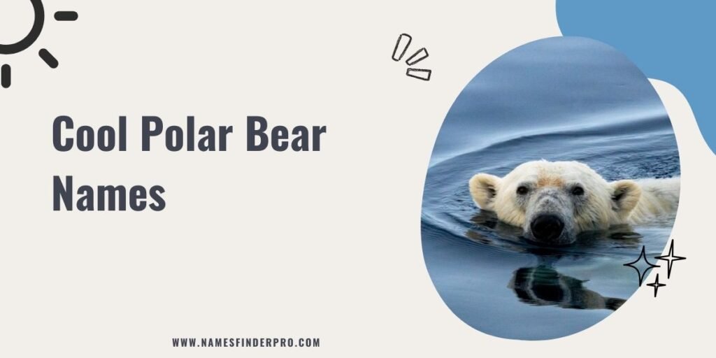 Cool Polar Bear Names