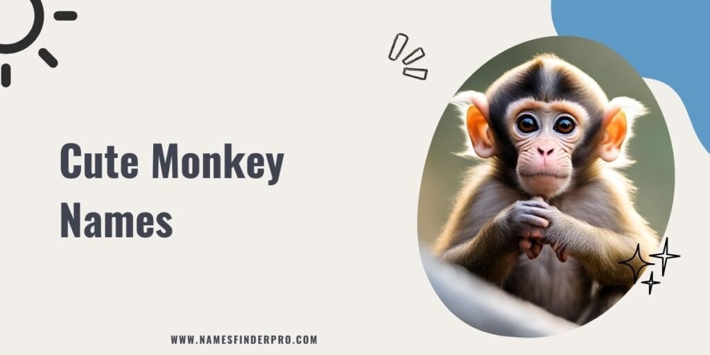 Cute Monkey Names