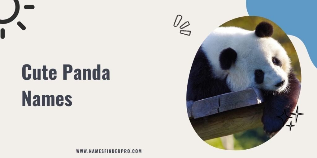 Cute Panda Names 