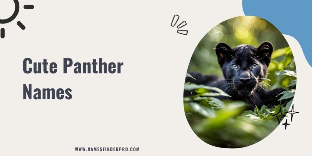 Cute Panther Names