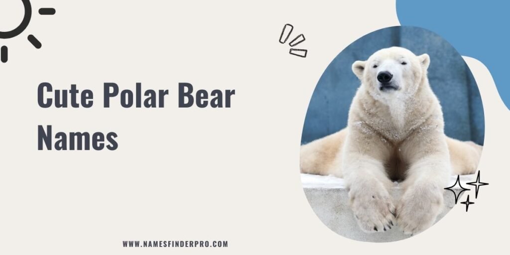 Cute Polar Bear Names