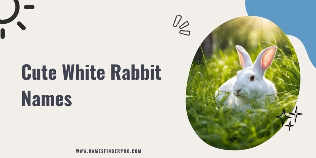 Cute White Rabbit Names