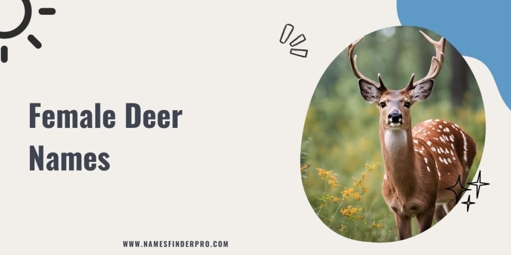 Female Deer Names