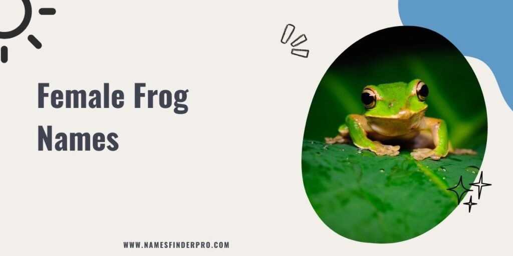 Female Frog Names