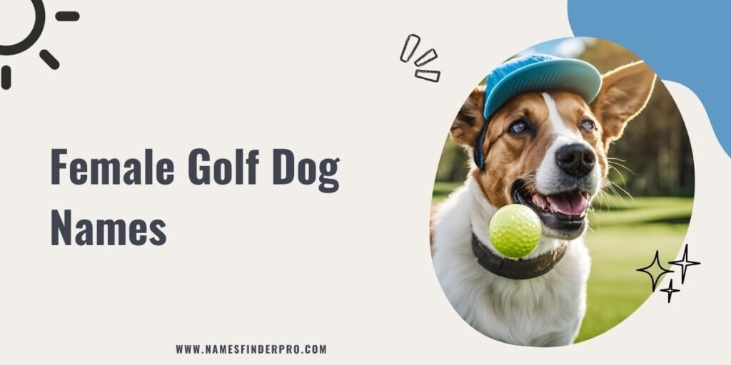 Female Golf Dog Names