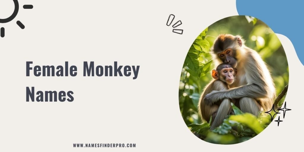 Female Monkey Names