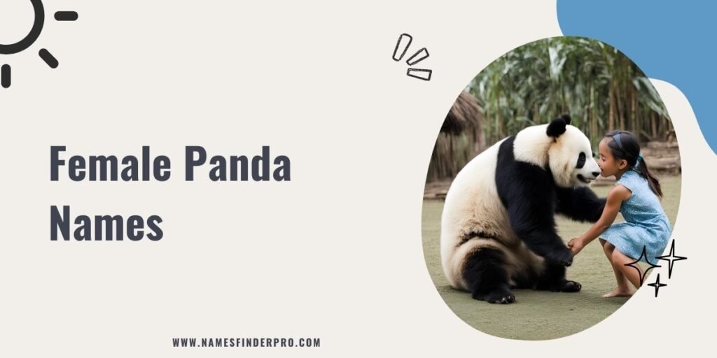 Female Panda Names