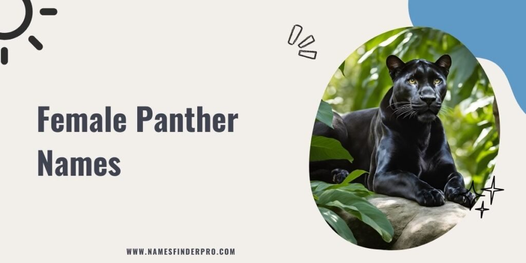 Female Panther Names