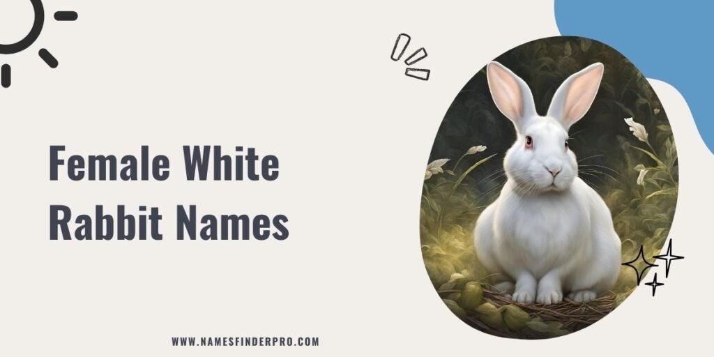 Female White Rabbit Names