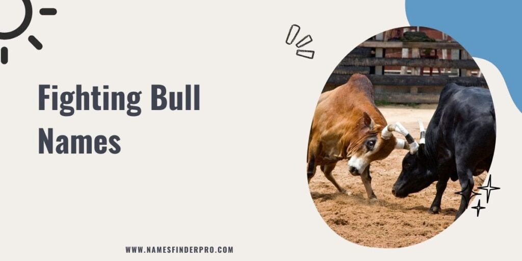 Fighting Bull Names