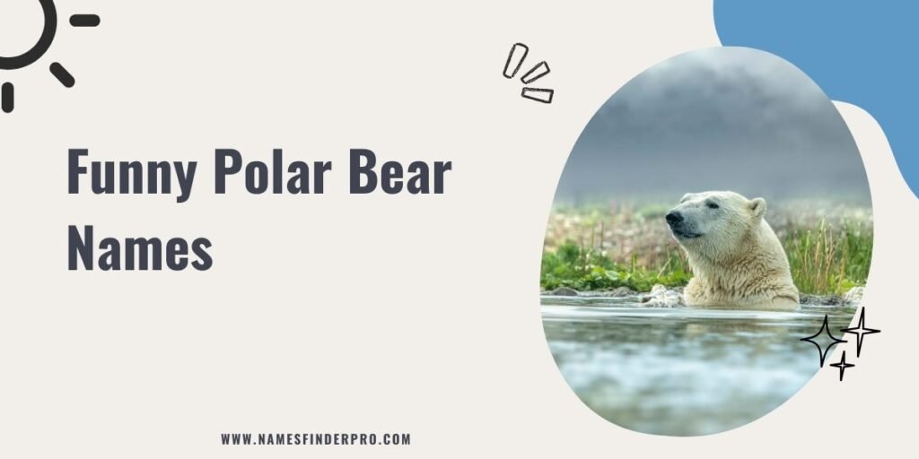 Funny Polar Bear Names