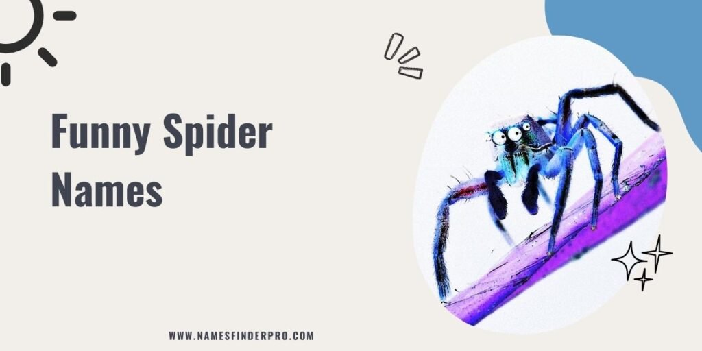 Funny Spider Names