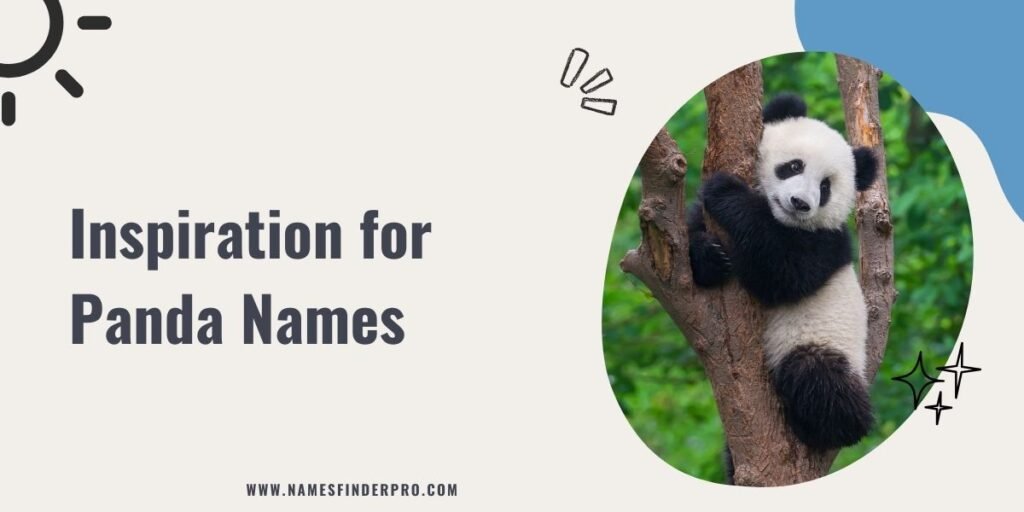 Inspiration for Panda Names