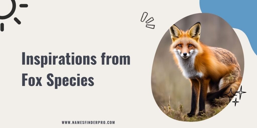 Inspirations from Fox Species