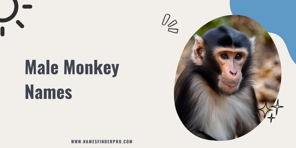 Male Monkey Names