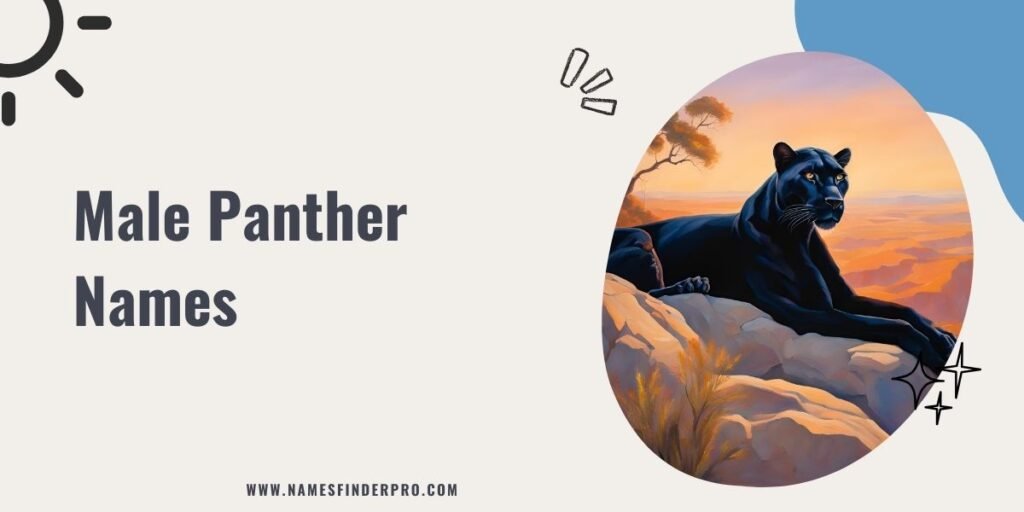 Male Panther Names