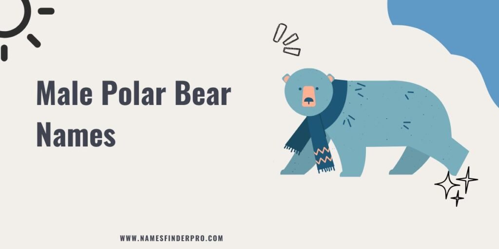 Male Polar Bear Names