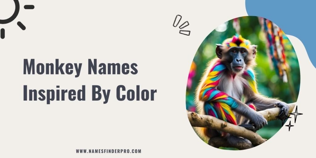 Monkey Names Inspired By Color