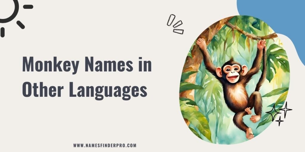 Monkey Names in Other Languages