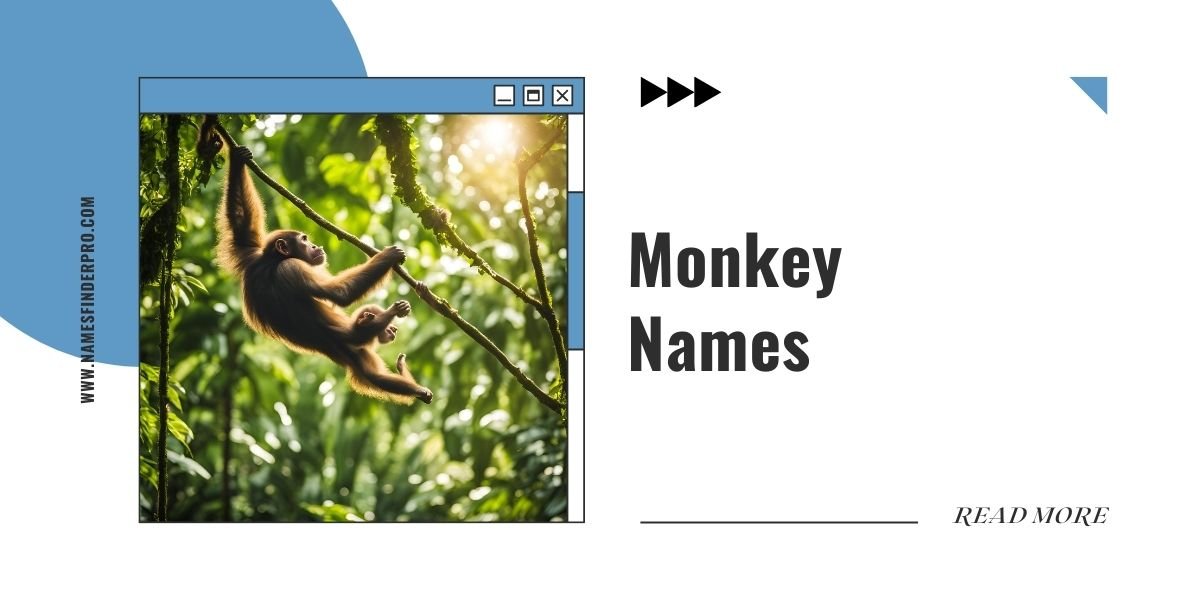 Monkey Names