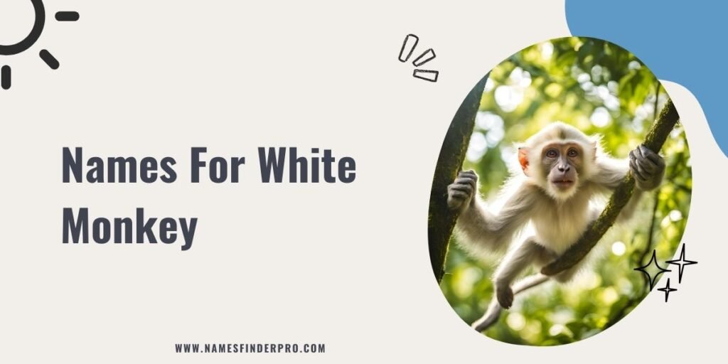 Names For White Monkey