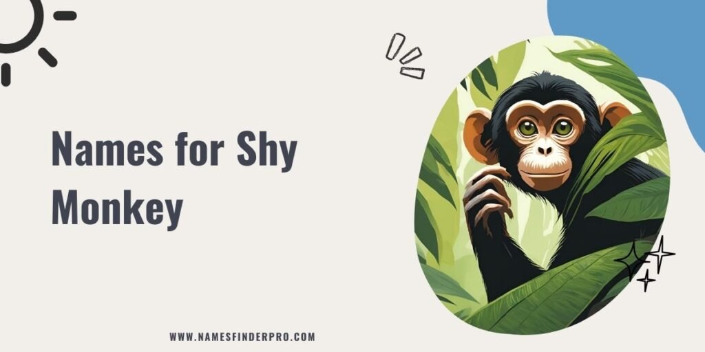 Names for Shy Monkey