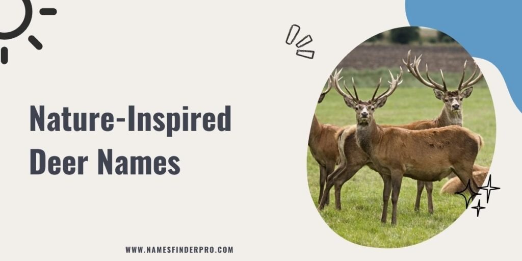 Nature-Inspired Deer Names 