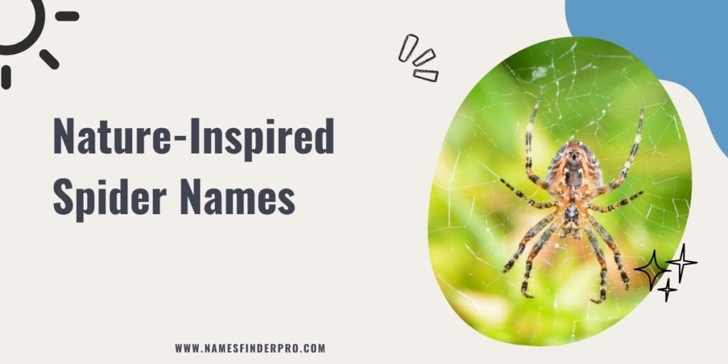 Nature-Inspired Spider Names 