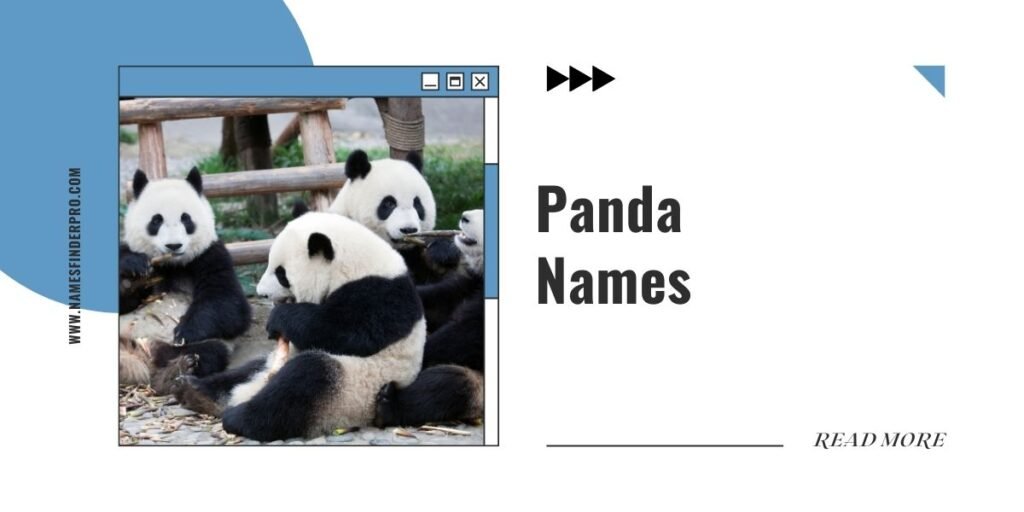 Panda Names