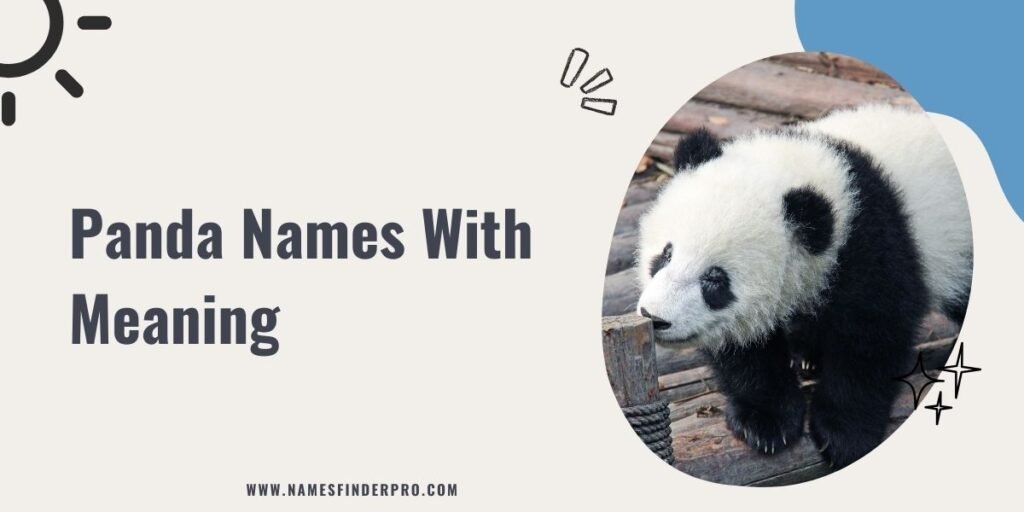 Panda Names With Meaning