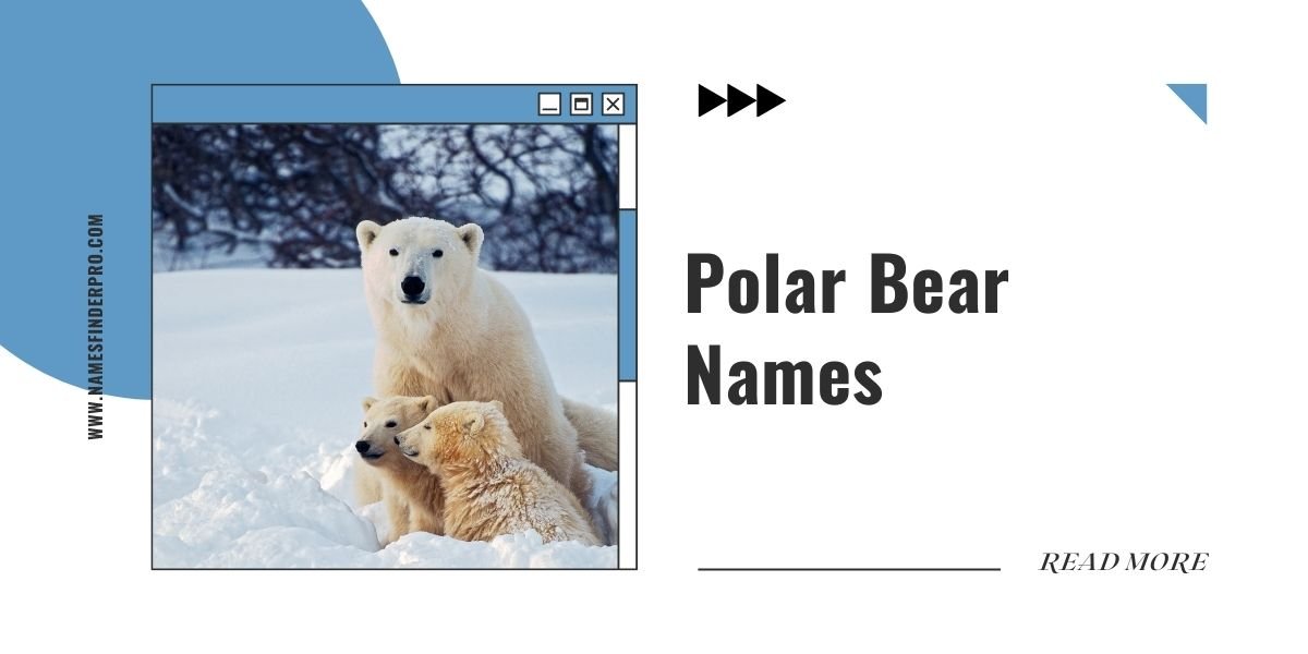 Polar Bear Names