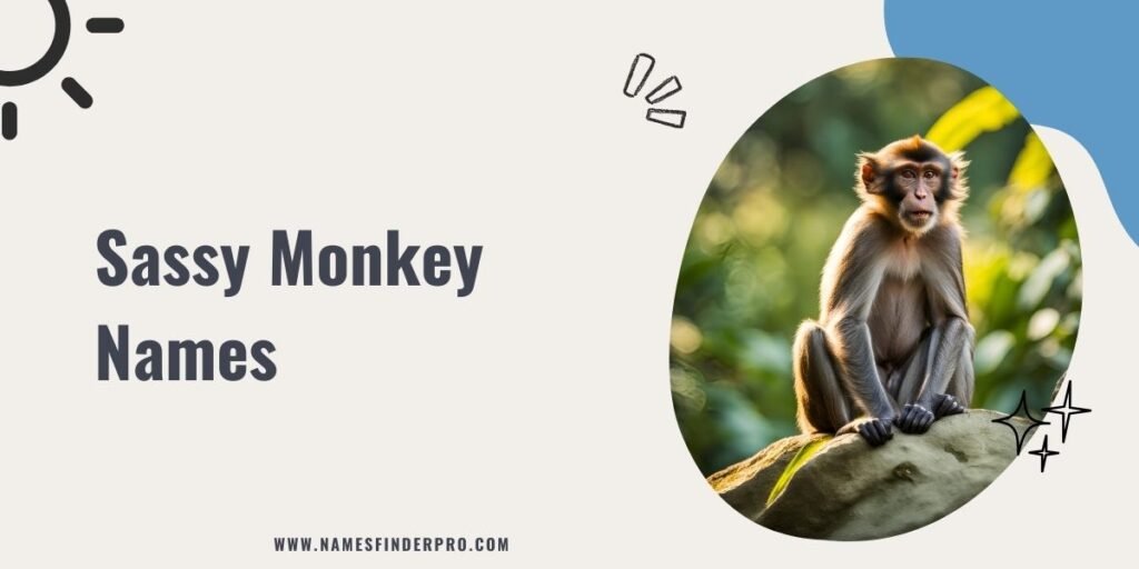 Sassy Monkey Names