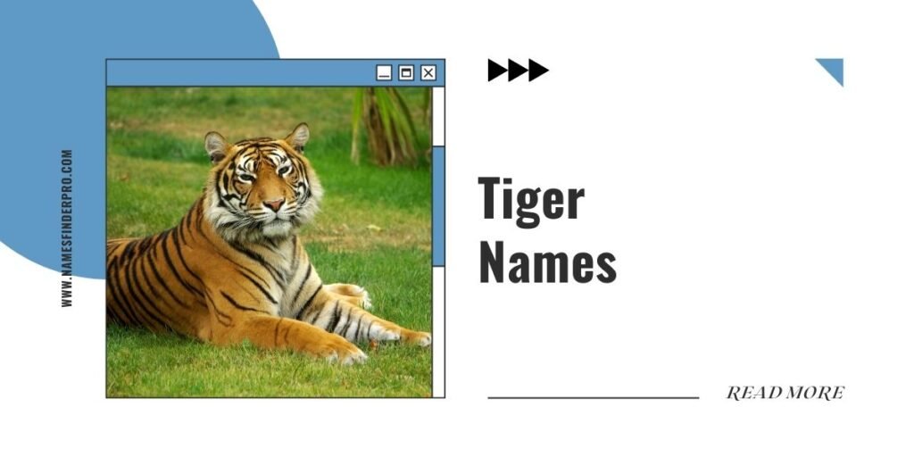 Tiger Names