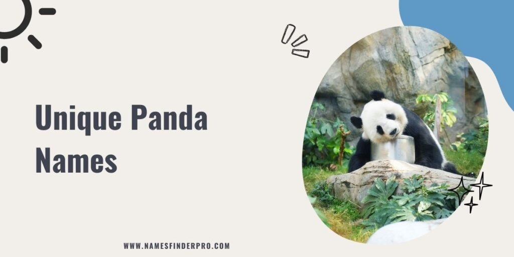 Unique Panda Names 